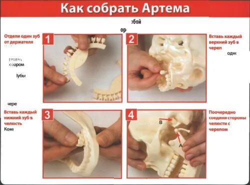 Как собрать артема. Собери артема. Собери артёма. Как собрать артёма журнал. Собери артема.
