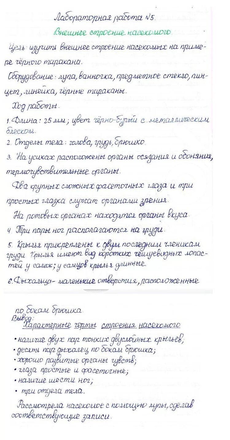 Лабораторная работа по рыбам. Лабораторная работа по биологии 7 класс. Лабораторная по биологии 7 класс латюшин. Биология 7 класс лабораторная номер 7. Биология 7 класс лабораторная номер 7.