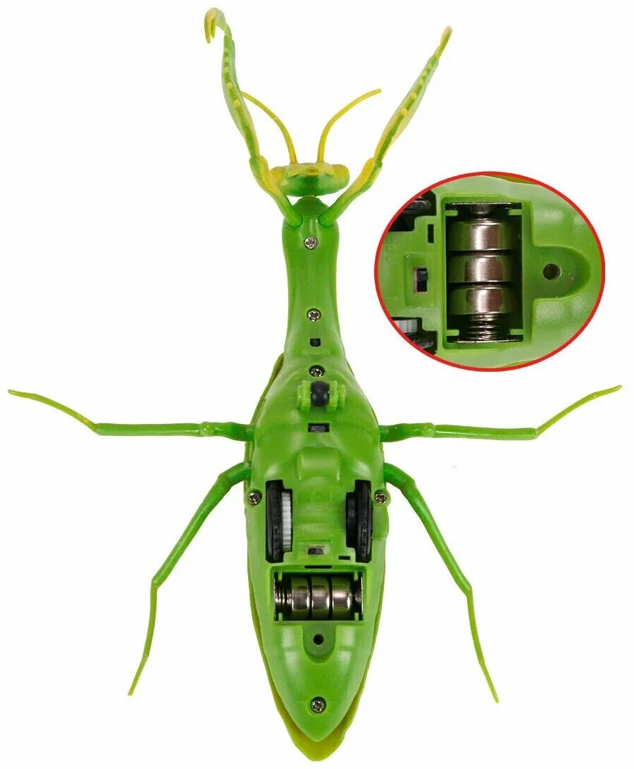 Характеристика богомолов. Игрушка трансформер богомол. Богомол на пульте управления. Игрушка богомол на пульте управления. Робот кузнечик.