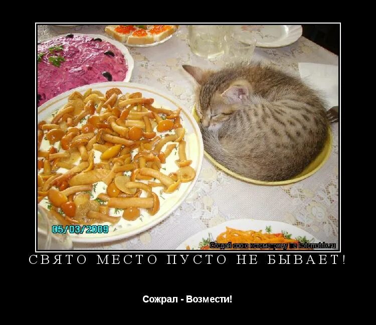 Свято место пусто не бывает значение. Кушать подано садитесь жрать. свято место пусто не бывает. кушать подано жрите пожалуйста. кушать подано садитесь жрать пожалуйста картинки.