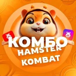 Новое комбо в хомяке 22.07