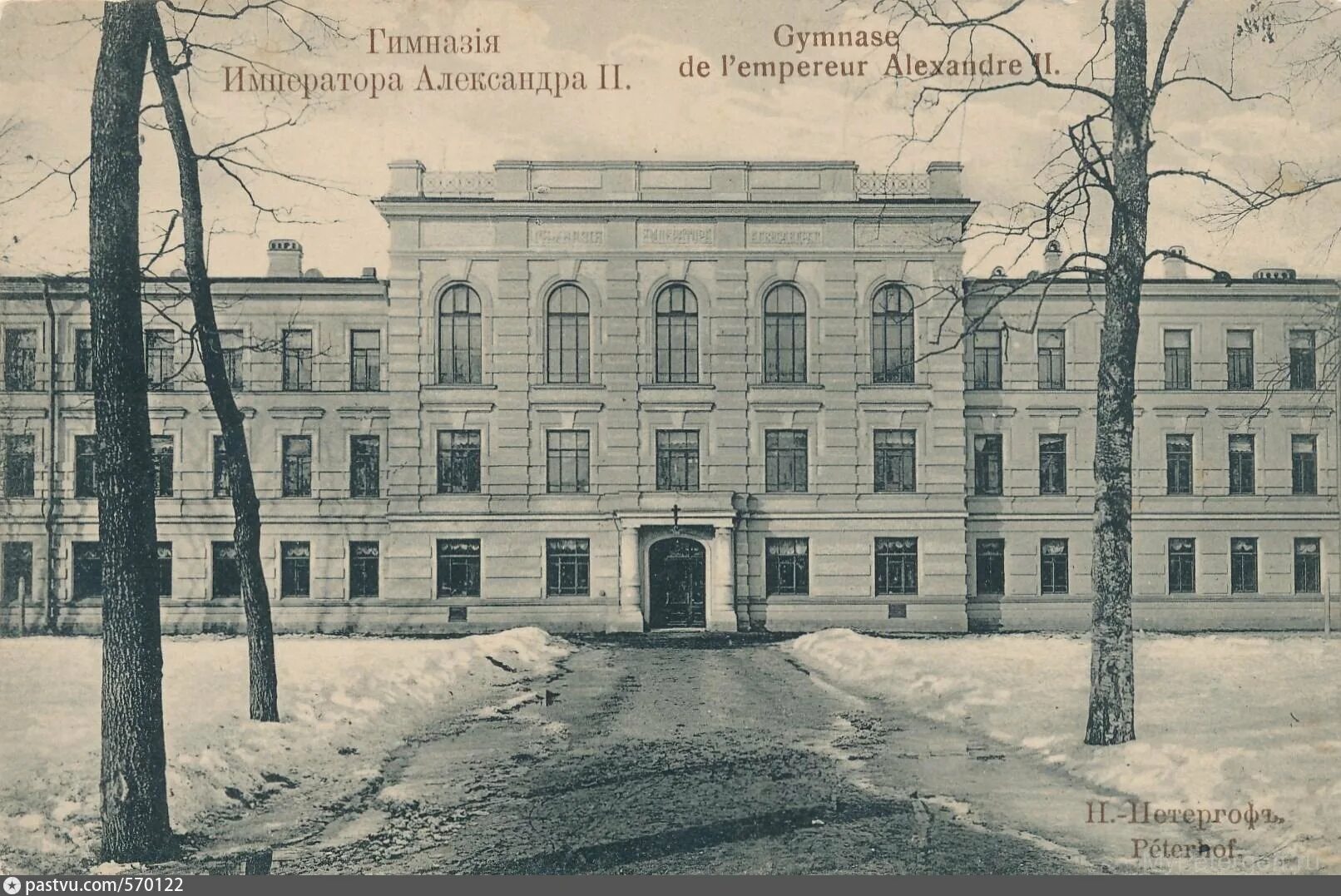 Петергоф 415 петергоф. Гимназия 415 петергоф.