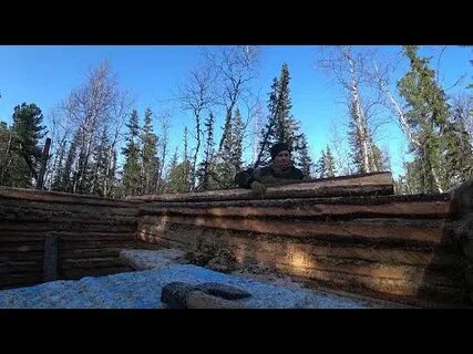 Таежные приключения новые видео
