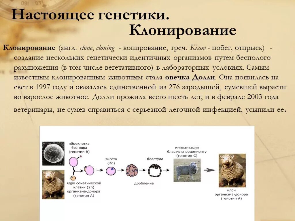 Направление клонирования