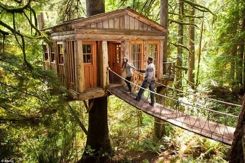 Lin in her tree house