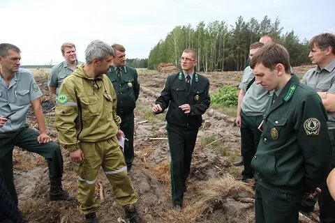 Гомельское лесничество