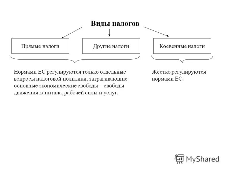 Примеры налоговых норм