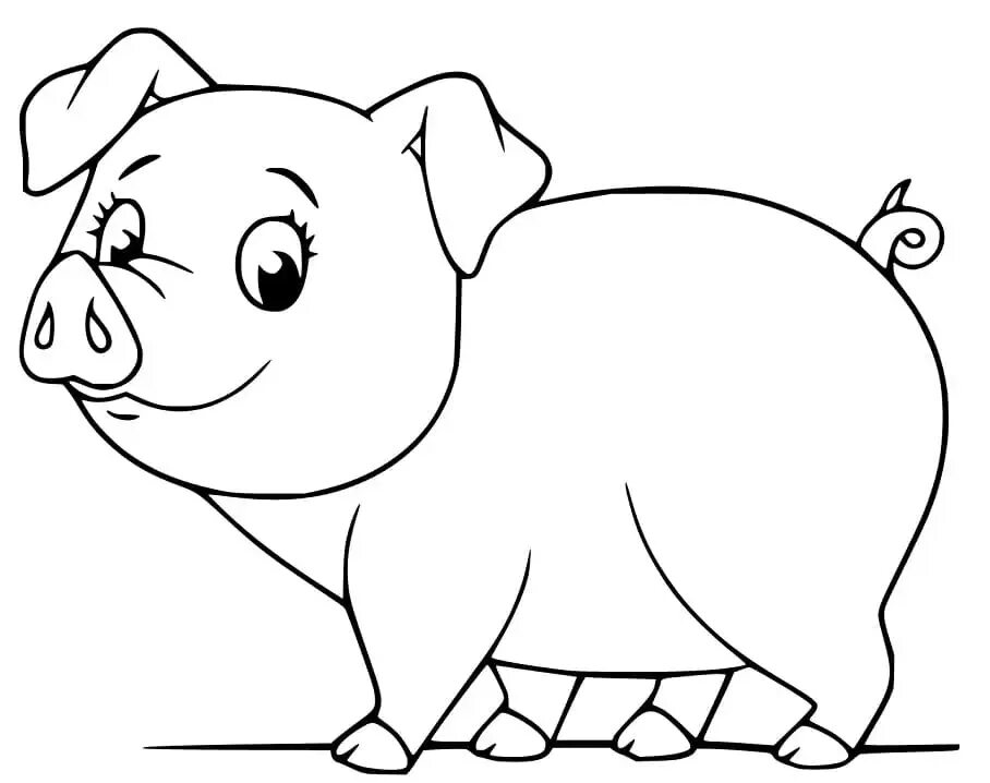 Pig coloring