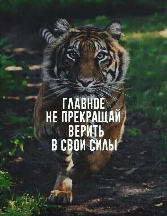 Могут попробовать свои силы. Верь в себя и свои силы. открытка верь в свои силы. верьте в свои силы. верь в себя картинки.