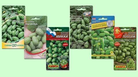 Как едят мелотрию