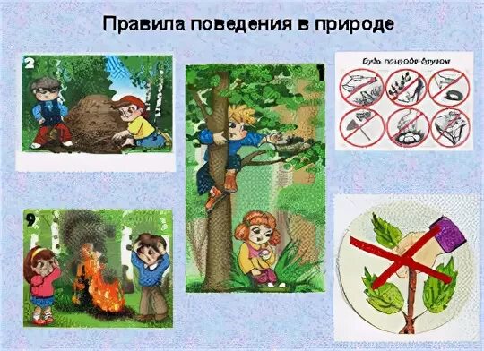 Напишите правила безопасного поведения в природной среде. Правила поведения на природе. будь природе другом рисунок. поведение человека в природе.