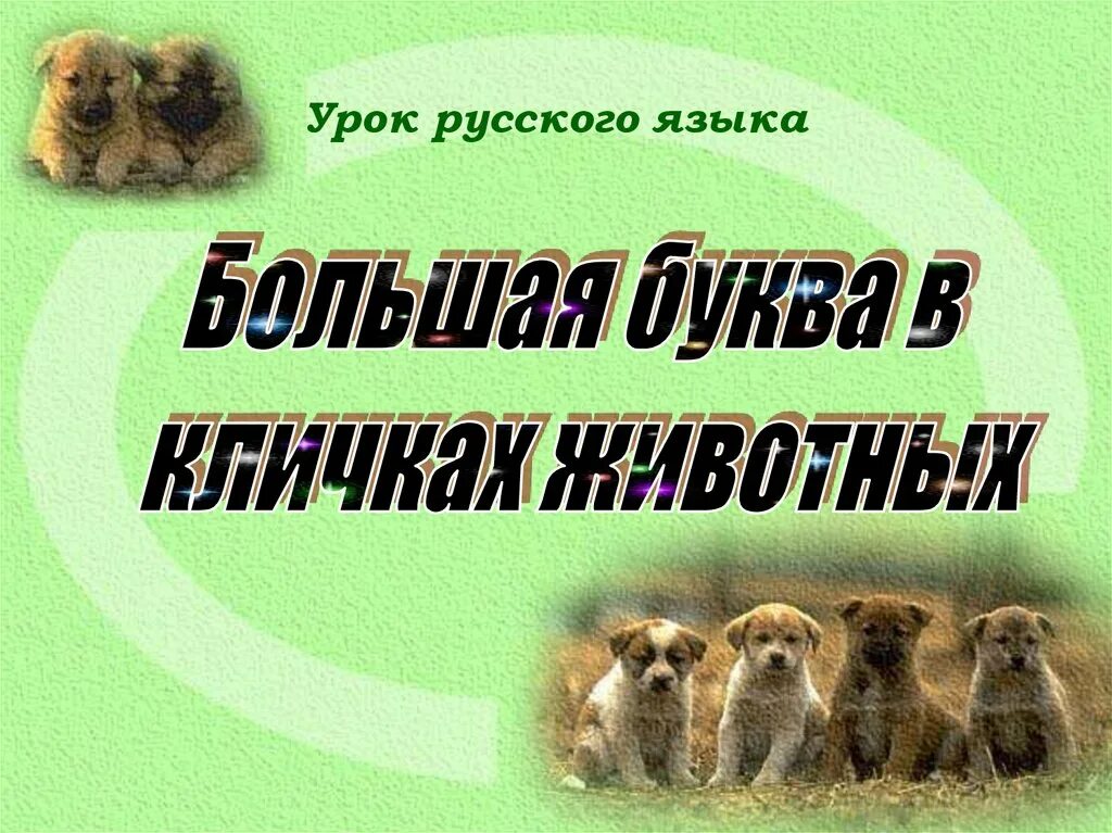 Клички животных русский язык. Большая буква в кличках животных. Клички животных. Большая буква в кличках животных 2 класс. Большая буква в кличках животных 1 класс.