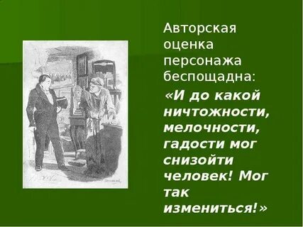 Авторская оценка плюшкина