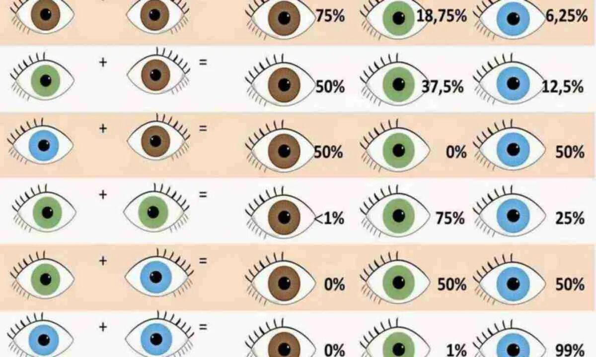 Вероятность цвета глаз. Цвет глаз родителей и детей. Цвет глаз схема. Смешение цвета глаз. Какого цвета глазки