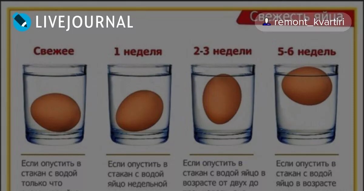 Тухлое ли яйцо. Если яйцо не всплывает. Свежее яйцо тонет в воде. Если свежее яйцо всплывает. Тухлое и свежее яйцо.