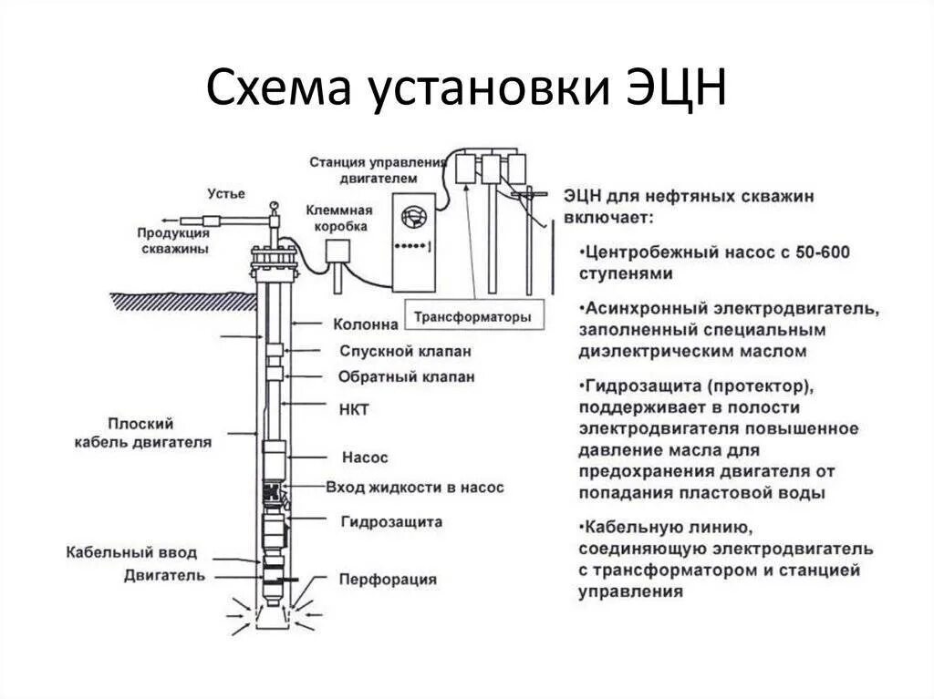 Схема установки электроцентробежного насоса УЭЦН. Схема скважины ЭЦН. Схема компоновки УЭЦН на скважине. Строение ЭЦН скважины.