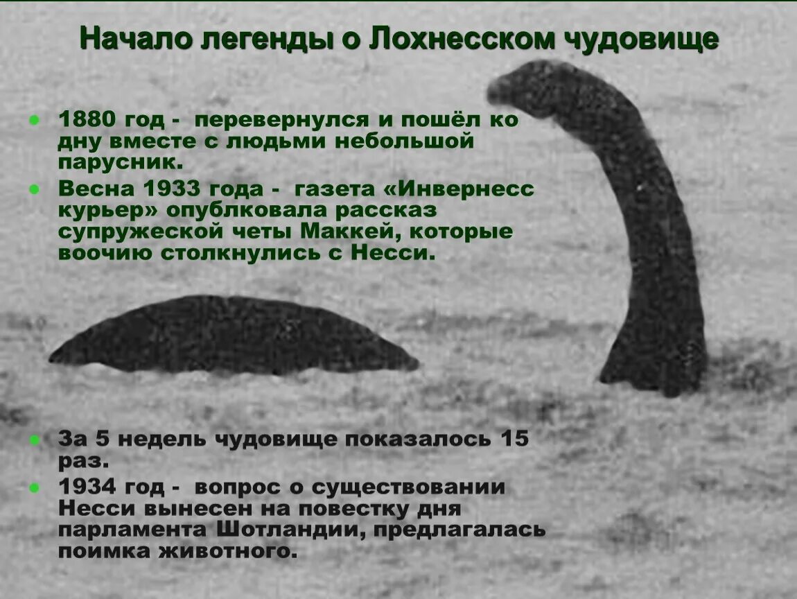 Монстр текст. Текст про монстров. Факты о лохнесском чудовище несси на англ. Проект по английскому языку лохнесское чудовище. Текст про монстров.