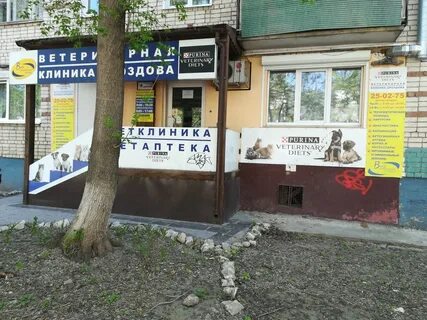 Ветклиника тольятти