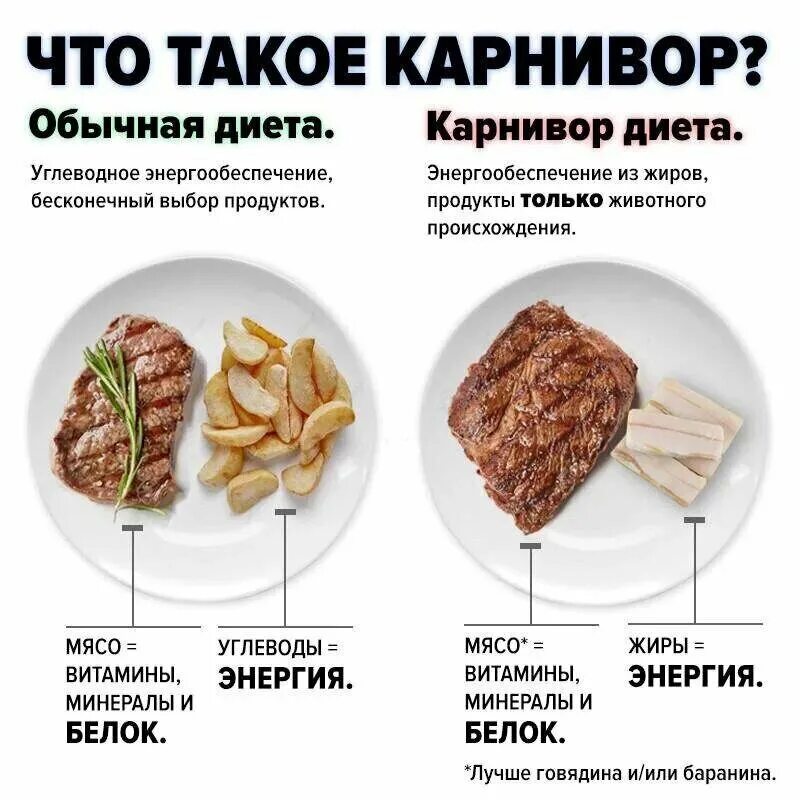 Карнивор диета. Карнивор диета принципы. Карнивор список продуктов. Карнивор меню. Карнивор диета меню