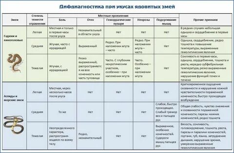 Температура гадюки