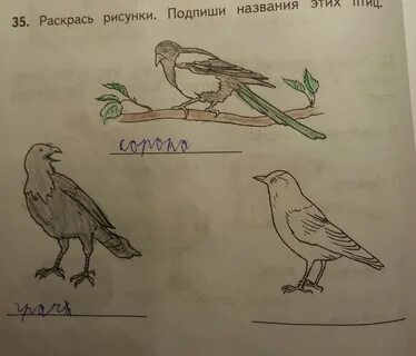 Нарисуй или наклей иллюстрации подпиши их