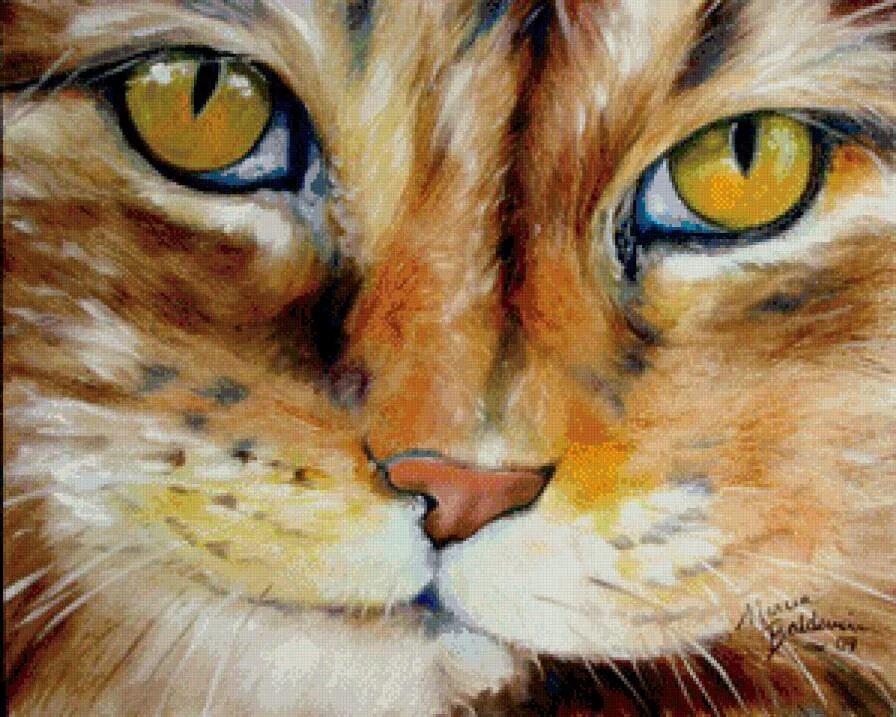Кот масляными красками. Кот живопись. кошки в живописи. картина котики. кошка акрилом.