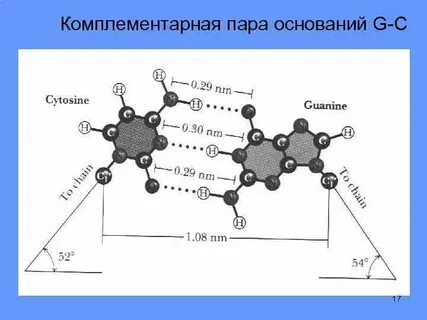 Комплементарная пара