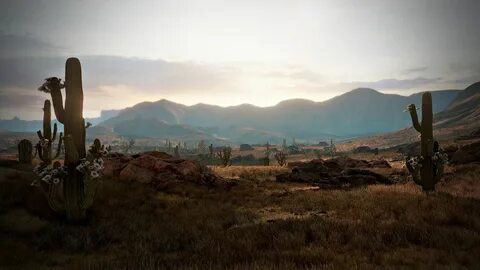 Wild west trueways
