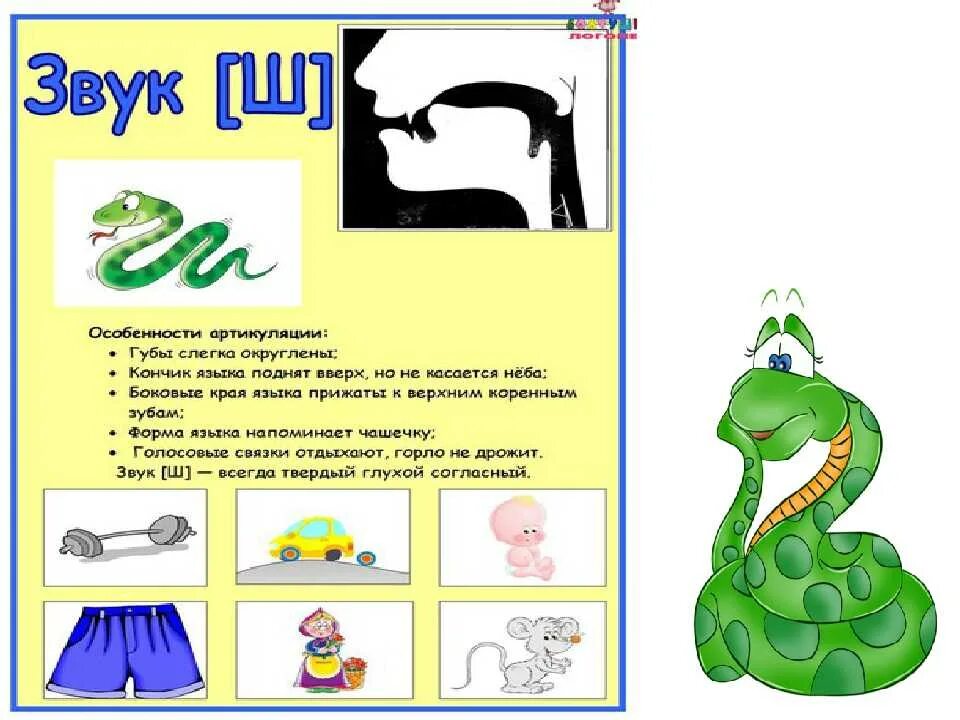 Звук ш. Логопедические упражнения на звук ш. Логопедия звук ш постановка звука. Упражнения для постановки звука ш. Становление звука постановка изолированного звука ш.