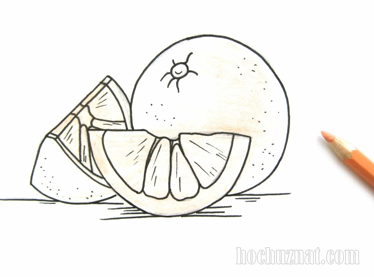 Апельсин цветными карандашами. Апельсин карандашом. Лимон набросок. Апельсин цветными карандашами. Мандарины для рисования.