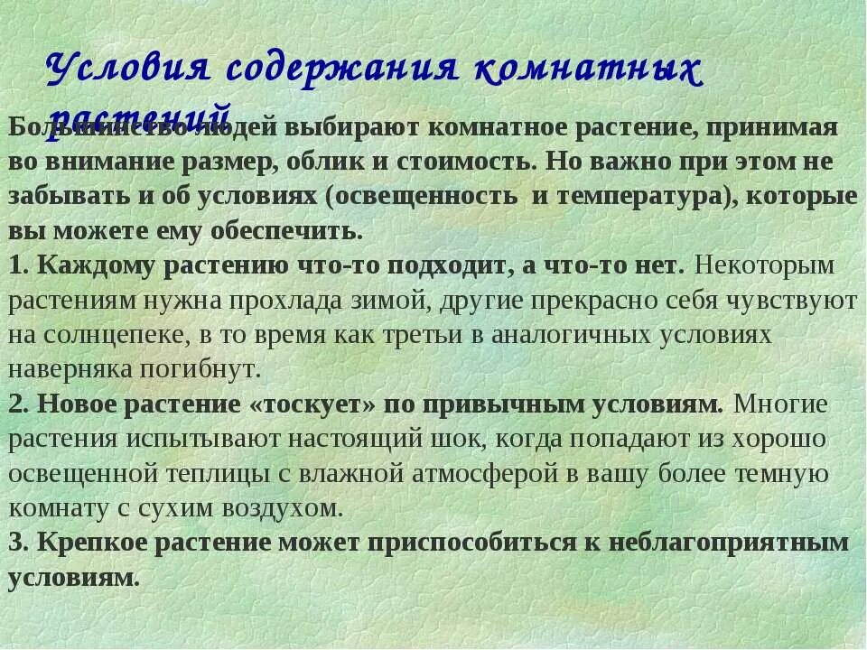 Условия содержания комнатного растения. Условия содержания комнатных растений. Условия содержания комнатных растений по освещению. Условия содержания комнатных растений стороны света. Условия содержания комнатных растений таблица.