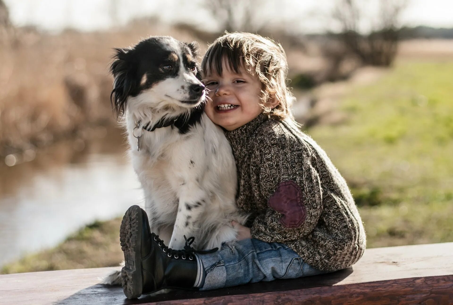 Собака друг человека. Для детей. Животные. Мальчик с собакой. Собака для детей.
