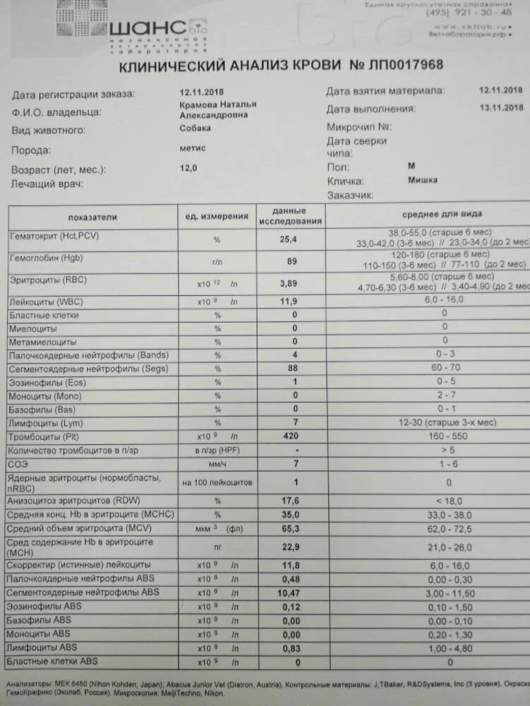 Анализы на онкологию. Анализ крови на онкологию. Результаты анализов на онкологию. Опухоль анализ крови. Анализ на злокачественную