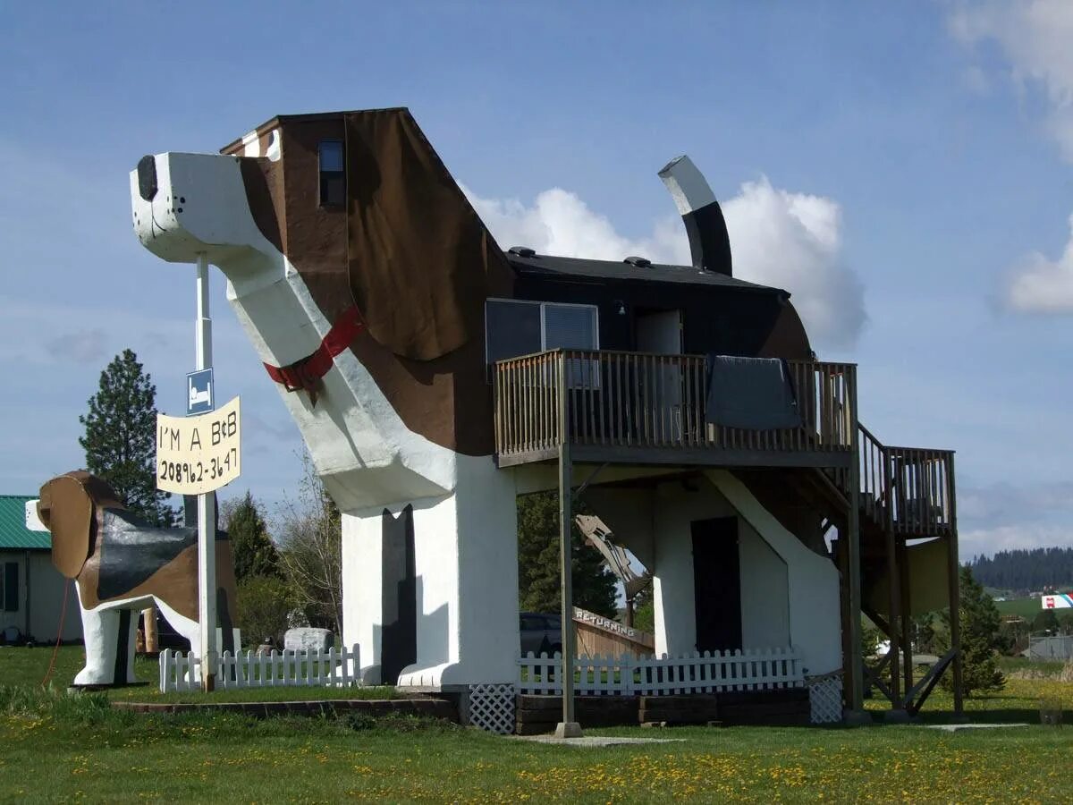 Дом непохожий на другие. Dog Bark Park Inn отель. Dog Bark Park Inn, Айдахо, США. Гостиница внутри собаки Dog Bark Park Inn. США Айдахо Коттонвуд.