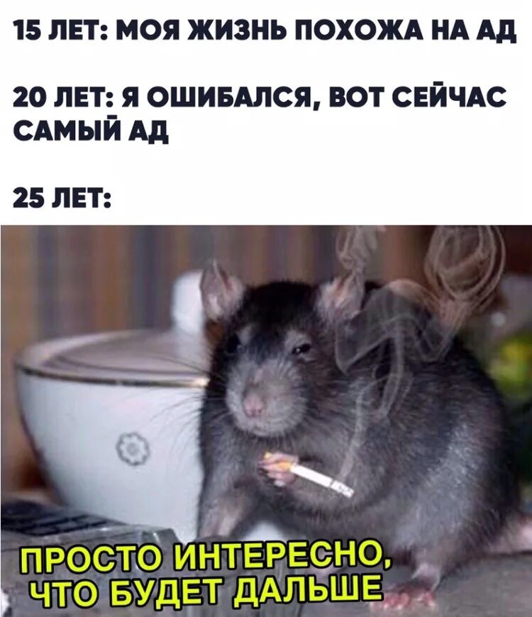 Что вообще будет дальше. Мне просто интересно чем все закончится. мне просто интересно что будет в конце. просто интересно что будет. просто интересно что будет дальше мем.