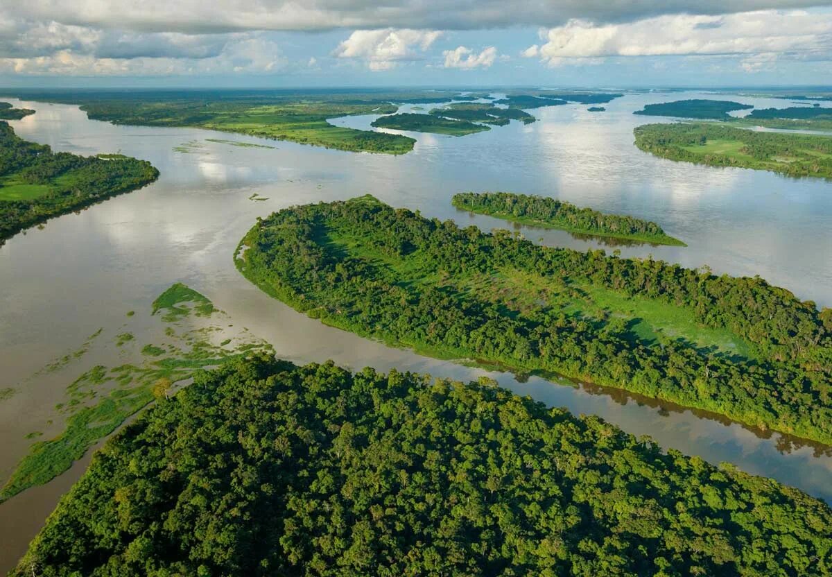 Почему река конго. Бассейн реки Конго. Национальный парк Салонга. Конго Заир река. Река Конго в Африке.