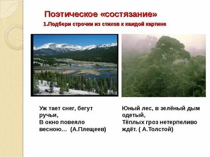 Юный лес теплых гроз