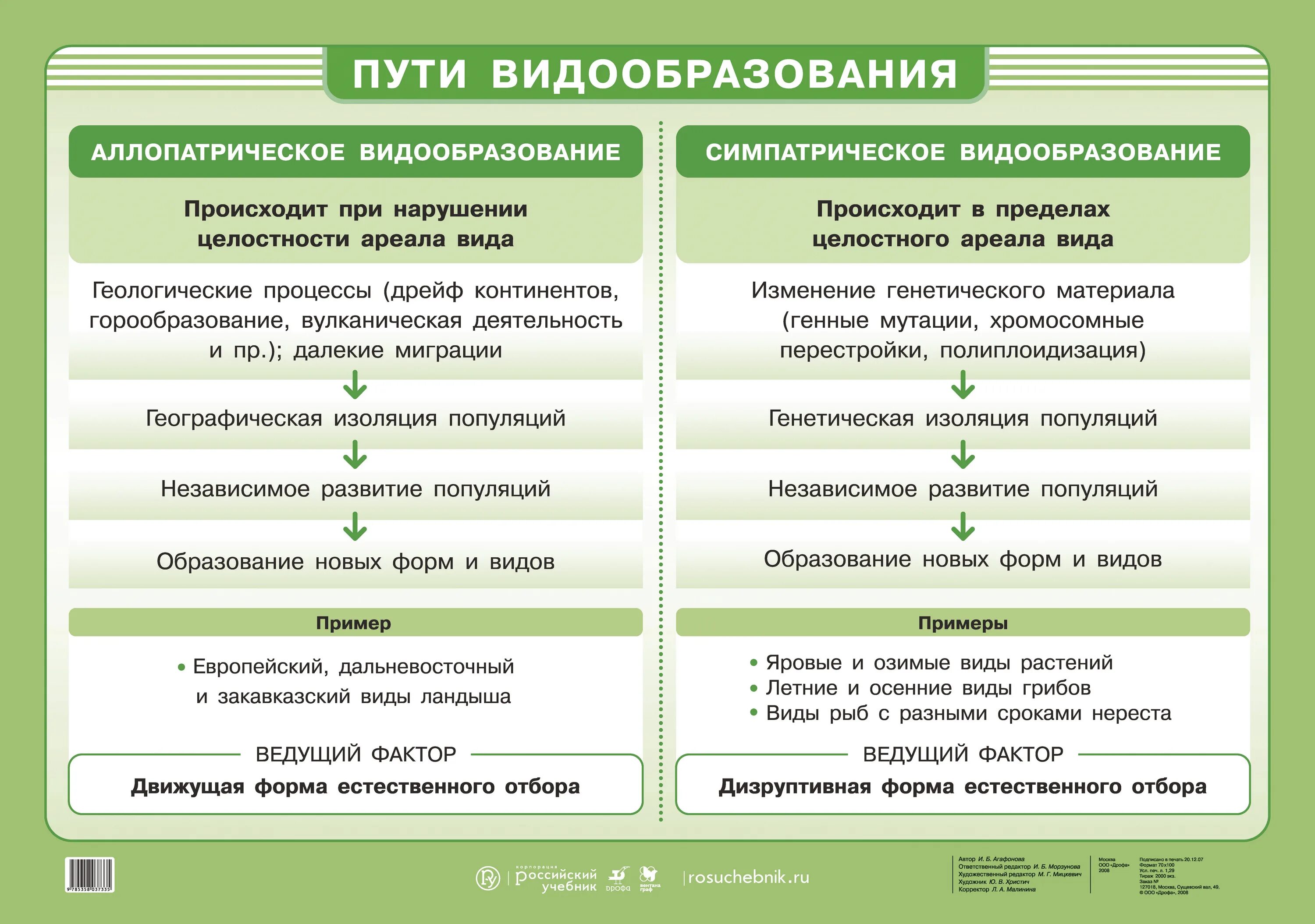 Установите последовательность образования новых видов в природе. Географическое и экологическое видообразование таблица. Пути и способы видообразования таблица. Способы видообразования таблица 11 класс. Формы видообразования биология 11 класс.