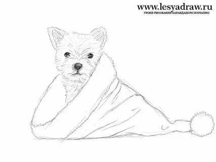 Новые картинки рисовать