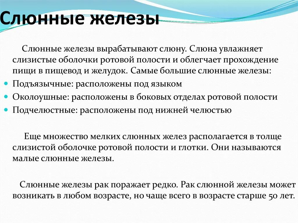 Какую слюну вырабатывают. Строение и функции слюнных желез кратко. Слюнные железы особенности строения кратко. Особенности строения слюнных желез кратко. Функции слюнных желез кратко.