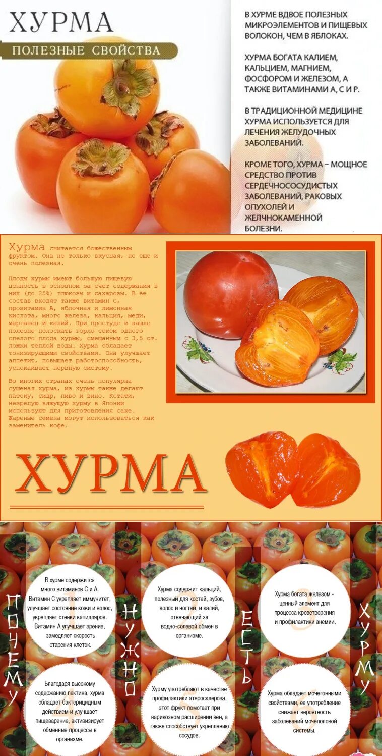 Какие микроэлементы в хурме. Что полезного в хурме. полезные витамины в хурме. хурма полезные свойства. чем полезна хурма для организма.