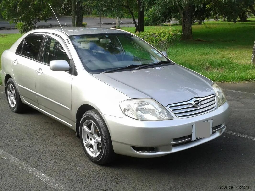 Купить короллу 2004. Toyota Corolla 2004. Тойота Королла 2004. Королла Тойота Королла 2004. Тойота Королла 2004 года.