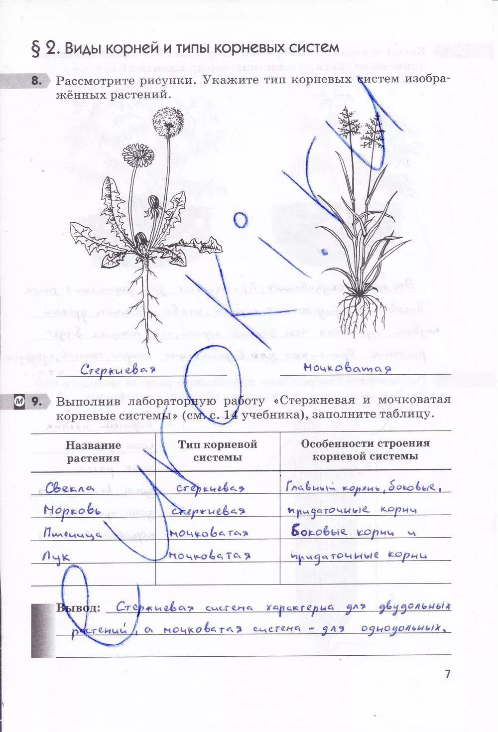 Биология Многообразие покрытосеменных растений 6 класс Рабочая Тетрадь Пасечник 