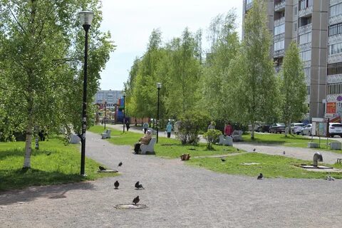 Березовая аллея петрозаводск