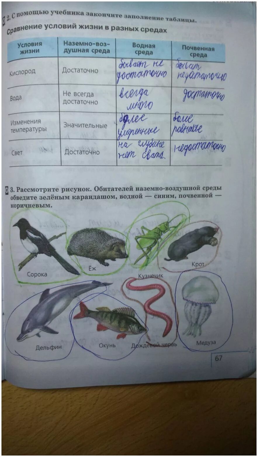 Плешаков Сонин 5 класс Естествознание. Естествознание 5 класс Плешаков. Естествознание 5 класс рабочая тетрадь Плешаков. Естествознание 5 класс Сонин. П 17 биология 5 класс