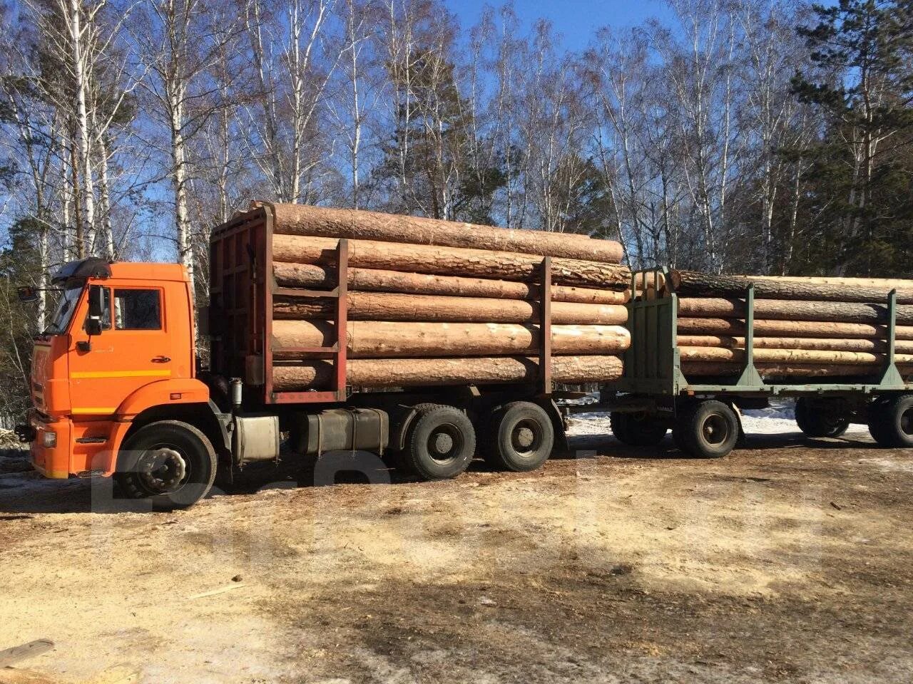 КАМАЗ 6520 лесовоз с прицепом. КАМАЗ 6520 лесовоз. КАМАЗ 6520 сортиментовоз с прицепом. КАМАЗ 6520 лесовоз с прицепом МАЗ.