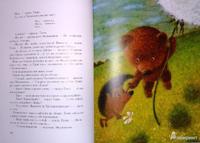 Какое варенье нес к медвежонку ежик. Рассказ про ежика и медвежонка. рассказы сергея козлова про ежика и медвежонка. сказка про ежика и медвежонка текст. сказка о ежике и ромашке.