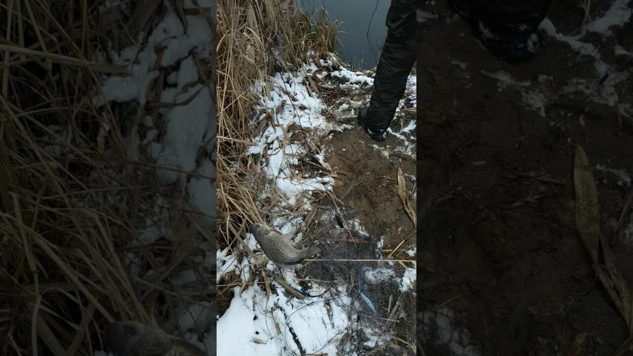 Инспекторы браконьеры национальной парк самарская лука. Набережные челны поймали браконьеров 10 мая. Босого нарын. Нижнекамск район браконьеры. Браконьеры нарвались на бывшего зека.