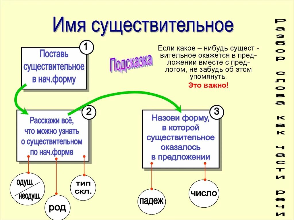 Алгоритмы правил по русскому языку. Памятка имя существительное. Памятка существительное. Алгоритмы по русскому языку для начальной школы.
