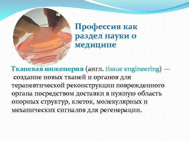 Тканевый инженер. Атлас профессий медицина. Тканевый инженер. Тканевый инженер. Технологии 3д печати в медицине.